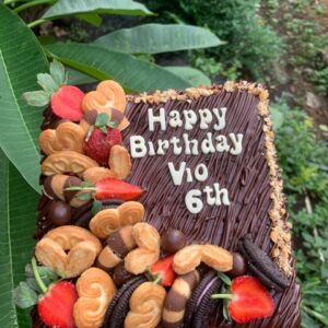 Brownies kukus paket ultah uk20x20